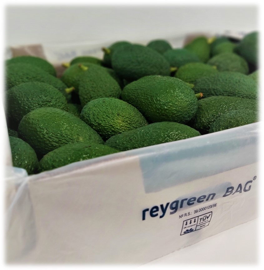 reygreen bag.jpg